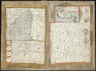 Adriaen CoenenのVisboeck-KB 78 E 54-Folio 113v（左）および114r（右） 作： Adriaen Coenen